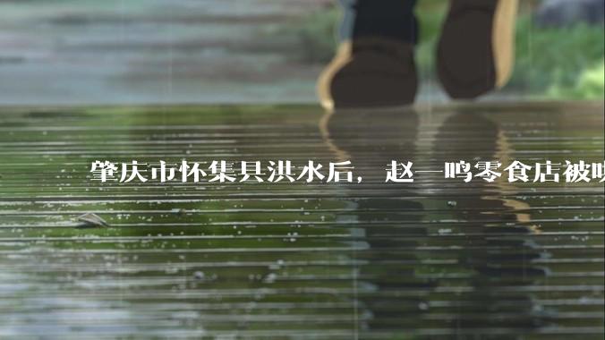 肇庆市怀集县洪水后，赵一鸣零食店被哄抢，物资和收银机里面的几千块钱被哄抢一空，如何评价？