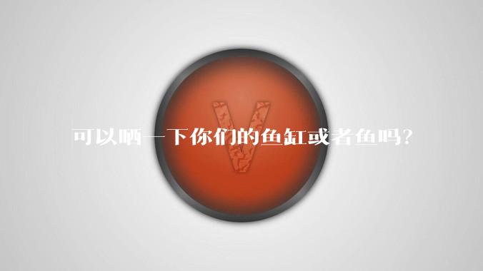 可以晒一下你们的鱼缸或者鱼吗？