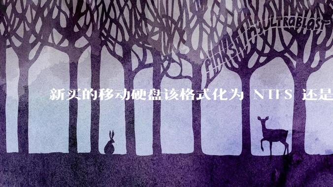 新买的移动硬盘该格式化为 NTFS 还是 exFAT？